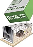 Cage Piège à Rat Vivant - 30 cm Grand - Réutilisable Piege a Rongeur - pour Les Rats et Les ...