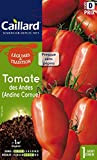 Caillard PFCC15911 Graines de Tomate des Andes