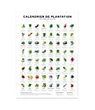 Calendrier de plantation et des semis pour le jardin au format 30x40cm, périodes de semis pour 64 légumes différents sous ...