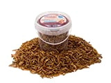 Chubby Mealworms Vers de farine séchés - Pot de 1 L