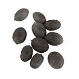 Clenp Lotus Seeds Mixte Mini Non OGM Bonsaï Lotus Bowl Graines Cadeaux De Jardinage (30 Pcs/Sac) Bowl Lotus Seeds