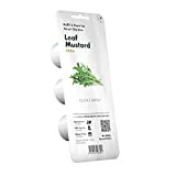Click & Grow Smart Garden recharge capsules | Feuille Moutarde 3-pack
