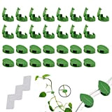 Clip Plante grimpante, Clip Mural végétal, Mur Support Vigne, Clip de Fixation Mural végétal Auto-adhésif pour la décoration de la ...