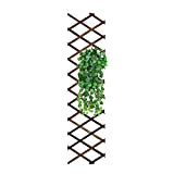 Clôture de jardin en treillis mural en bois Reagia, cadre de suspension pour plantes extensibles extra-épaisses