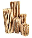 Clôture déroulable en bois de noisetier dans 13 tailles 120 x 500 cm ( Lattenabstand 3-5 cm ) naturel