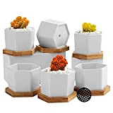 Coolty 6pcs Mini Pots de Fleurs en Céramique Hexagonaux Blanc Pot de Succulent en Céramique Pot de Cactus Bonsaï pour ...