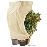 Cossteo 200cm x 240cm Housses d'hiver de Protection pour Plante 100 g/m², Housse d'hivernage pour Plantes Contre Le Gel et ...