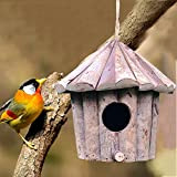 Cozyhoma Nichoir à oiseaux en bois à suspendre pour l'extérieur, fabriqué à la main, pour hirondelle, moineau, colibri, rouge-gorge