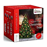 Cultivez votre propre arbre de Noël – cultivez 4 types différents d'arbre de Noël à la maison – Kit de ...