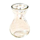 Cupcinu Lot de vases en verre transparent à ouverture large en jacinthe pour plantes aquatiques - Pour la maison, le ...