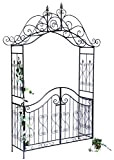 DanDiBo Arche à Rose avec Porte Portail 131872 en métal Portail de Jardin 282x160 cm Treillage