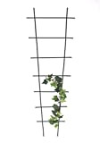 DanDiBo Support pour plantes grimpantes avec oiseaux Art.307 Treillis en métal H 65cm Support pour plantes grimpantes