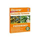 Décamp - Phéromone contre les cochenilles farineuses