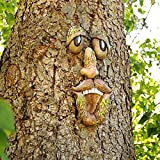 Décoration 3D de vieil homme en forme de visage d'arbre, décoration de jardin amusante de vieil homme (D)