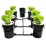 Deep Water Culture Hydroponic DWC System 5 Gallon 7 Bucket Kit DWC Hydroponic Système de culture pour plantes utilitaires, légumes, ...