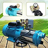 DIFU Pompe centrifugeuse 1300 W Pompe de jardin pour plantes aquatiques pour usage Domestique 6000 L/H avec Niveau de protection ...