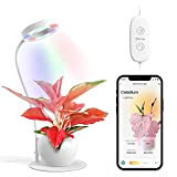 Diivoo Bluetooth Lampe LED Horticole, Hauteur Réglable, App avec 2 Modes de Lumière et Spectre de Croissance de 27 Espèces ...