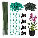 DKINY 50pcs Tuteur Vert Plante 30cm en Plastique avec Clips et Pinces Support Plantes Grimpante pour Jardin Attache Tomate Orchidée ...