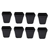 DOITOOL Godet pour Semis Noir 50Pcs - Carré Pots de Plantes en Plastique-Petit Pot de Fleur Interieur Exterieur (Noir/ 6x6x6.5cm)