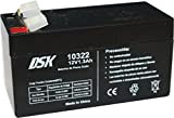 DSK 10322 - Batterie Plomb AGM Rechargeable scellée 12V 1.3Ah. Idéal pour Les alarmes domestiques et industrielles, Les Scooters électriques, ...