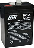 DSK 10355 - Batterie au Plomb AGM Rechargeable scellée 6V 4,5 Ah. Idéal pour Les alarmes domestiques et industrielles, Les ...