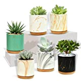 EKKONG Pot Succulentes Petit Pot Cactus Lot de 6 Texture de Marbre 6.1cm Mini Pot de Fleur avec Plateau en ...