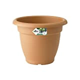 Elho 2055345 Green Basics Campana Pot de Fleurs Marron/Rouge 50 x 50 x 38 cm