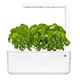 Emsa Click&Grow Smart Garden 3, Potager d'intérieur, Jardin d'intérieur, 3 Plantes, Blanc M5261700