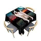 ENEN Impression de Chiens Berger Nappe Carrée Square Anti Tache en Polyester Lavable Table Cloth Protection et Décoration de Table ...