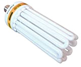 EnviroGro Lampe CFL 250 W – Blanc Chaud
