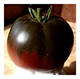 Exotic Plants Tomate Black Sea Man - Tomate Beefsteak Noir-Rouge - 20 graines