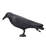 Fdit Simulation Black Crow Leurre Repousser d'autres Oiseaux Hit Crow Bait Conduire d'autres Oiseaux Beau Travail Extérieur Jardin Décoration Noir ...