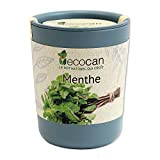 Feel Green Ecocan, Menthe, Idée Cadeau (100% Biodégradable), Grow-Your-Own/Kit Prêt-à-Pousser, Le Pot Écologique Qui Croît 9 x 7 cm, Produit ...