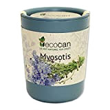 Feel Green Ecocan, Myosotis, Idée Cadeau (100% Biodégradable), Grow-Your-Own/Kit Prêt-à-Pousser, Le Pot Écologique Qui Croît 9 x 7 cm