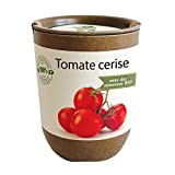 Feel Green Ecocan, Tomate Cerise Certifiées Bio, Idée Cadeau (100% Biodégradable), Grow-Your-Own/Kit Prêt-à-Pousser, Le Pot Écologique Qui Croît 9 x ...