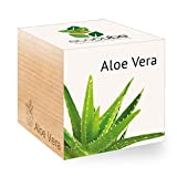 Feel Green Ecocube Aloe Vera Exotics, Idée Cadeau (100% Ecologique), Grow-Your-Own/Kit Prêt-à-Pousser, Plantes Dans Des Cubes En Bois 7.5cm, Produit ...