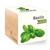 Feel Green Ecocube Basilic Certifiées Bio, Idée Cadeau (100% Ecologique), Grow-Your-Own/Kit Prêt-à-Pousser, Plantes Dans Des Cubes En Bois 7.5cm, Produit ...