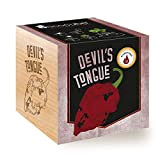 Feel Green Ecocube Devil's Tongue 10 Scoville 125.000-325.000 Idée de Cadeau Durable (100% Ecofriendly), Grow Your Own/Culture végétale en Bois ...
