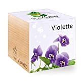 Feel Green Ecocube Violette, Idée Cadeau (100% Ecologique), Grow-Your-Own/Kit Prêt-à-Pousser, Plantes Dans Des Cubes En Bois 7.5cm, Produit En Autriche