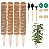 Finew® Lot de 4 Tuteurs en Mousse de Coco 40 cm Tuteur pour Plantes grimpantes avec 4 Panneaux et Outils