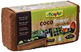 Flower 80070 Coco Substrat Universel en Fibres de Coco 9 l