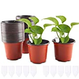 FORMIZON 100 Pcs Plastique Plante Pots, 10 cm Semis en Plastique Pots de Fleurs avec Étiquettes Plantes Pépinières Fleur Plante ...