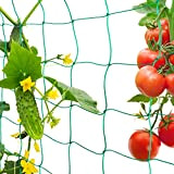 FORMIZON Filet de Jardin, Filet à Plantes Grimpantes, Filet à Ramer pour Récolte de Concombres, Légume, Tomates et Autres Légumes, ...