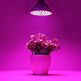 Frcolor E27 6 W 72 LEDs Lampe Plante Croissance Ampoule croissance Intérieur Jardin Lumière Led Lampe Pour Plantes d'intérieur Hydroponique