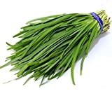 Futaba Ail Ciboulette chinois Ciboulette pur légumes biologiques Natural Green 300 graines