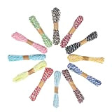 G2PLUS 12 couleurs de ficelle décorative Raffia - 10 m de papier - Pour bricolage et artisanat