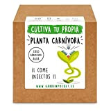 Garden Pocket – Kit de culture de plante carnivore Venus