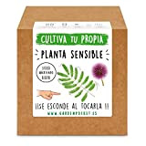 Garden Pocket Kit de culture pour plante sensitive