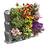 Gardena NatureUp! Kit de base vertical : mur végétal pour la végétalisation verticale de balcons / terrasses / cours intérieures, ...