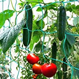 GardenGloss® Filet à Ramer avec Maillage Large pour Une récolte particulière Bonne de concombres, tomates et Autres légumes et Plantes ...